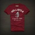 Hollister camiseta masculina