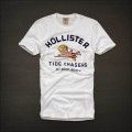 Hollister camiseta masculina