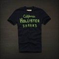 Hollister camiseta masculina