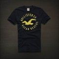 Hollister camiseta masculina