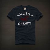 Hollister camiseta masculina